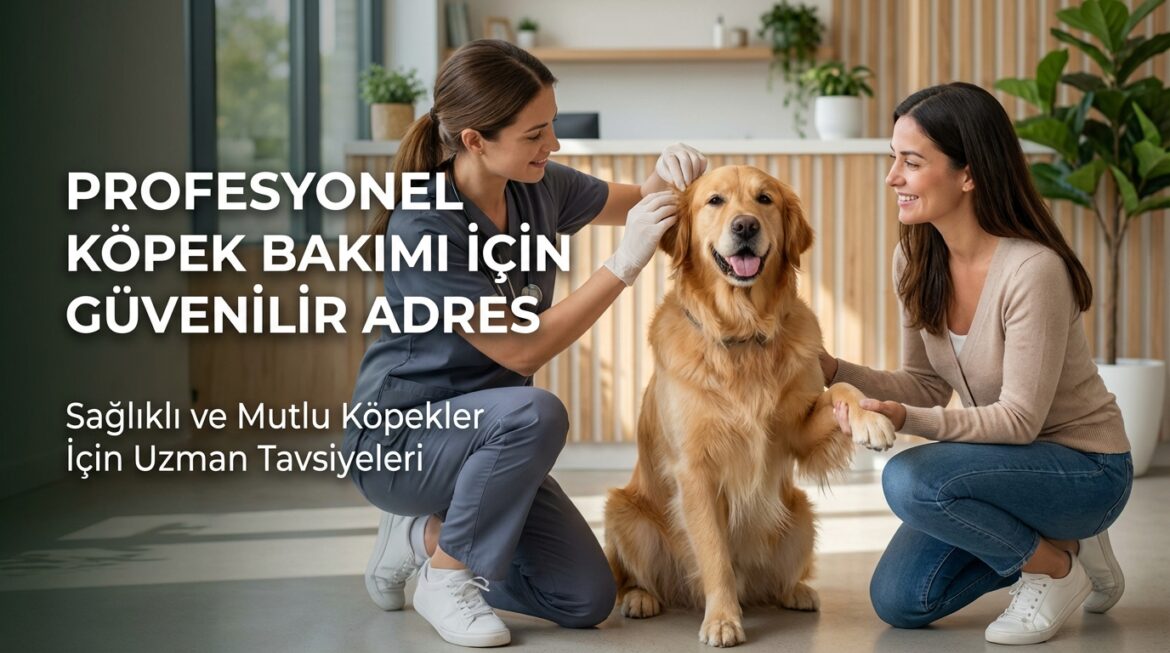 köpek bakımı